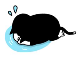 Tuxedo cat Kuroyama sticker #506724