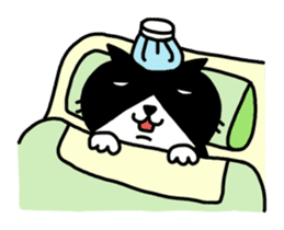 Tuxedo cat Kuroyama sticker #506736