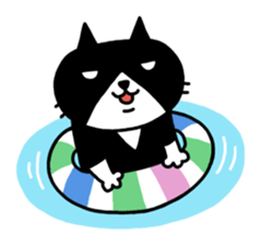 Tuxedo cat Kuroyama sticker #506740