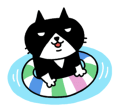 Tuxedo cat Kuroyama sticker #506740