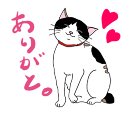 Miss Choiko, a calico cat. vol.2 sticker #507754