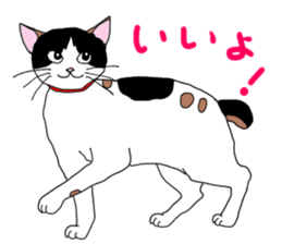 Miss Choiko, a calico cat. vol.2 sticker #507755