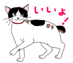 Miss Choiko, a calico cat. vol.2 sticker #507755