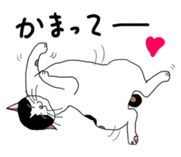 Miss Choiko, a calico cat. vol.2 sticker #507758
