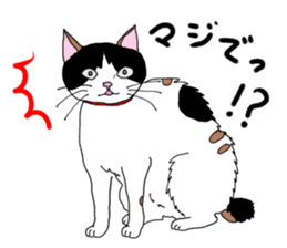 Miss Choiko, a calico cat. vol.2 sticker #507759