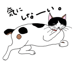 Miss Choiko, a calico cat. vol.2 sticker #507761