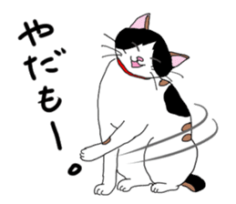 Miss Choiko, a calico cat. vol.2 sticker #507765