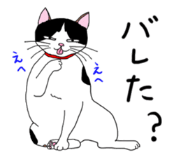 Miss Choiko, a calico cat. vol.2 sticker #507766