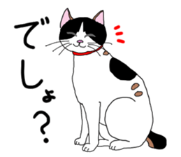 Miss Choiko, a calico cat. vol.2 sticker #507768