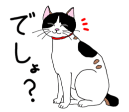 Miss Choiko, a calico cat. vol.2 sticker #507768