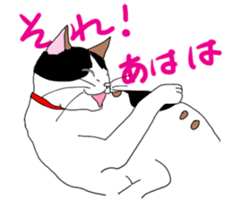 Miss Choiko, a calico cat. vol.2 sticker #507770