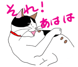 Miss Choiko, a calico cat. vol.2 sticker #507770