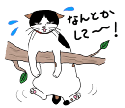 Miss Choiko, a calico cat. vol.2 sticker #507774