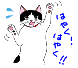 Miss Choiko, a calico cat. vol.2 sticker #507775