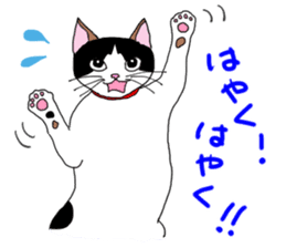 Miss Choiko, a calico cat. vol.2 sticker #507775