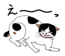 Miss Choiko, a calico cat. vol.2 sticker #507776