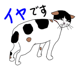Miss Choiko, a calico cat. vol.2 sticker #507778