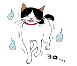Miss Choiko, a calico cat. vol.2 sticker #507779