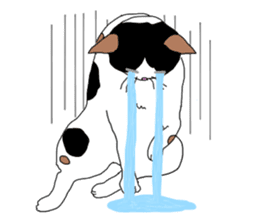 Miss Choiko, a calico cat. vol.2 sticker #507780