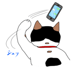 Miss Choiko, a calico cat. vol.2 sticker #507783