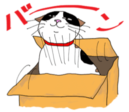Miss Choiko, a calico cat. vol.2 sticker #507786
