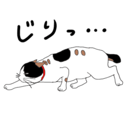 Miss Choiko, a calico cat. vol.2 sticker #507788
