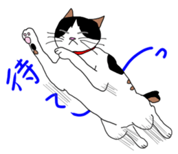 Miss Choiko, a calico cat. vol.2 sticker #507789