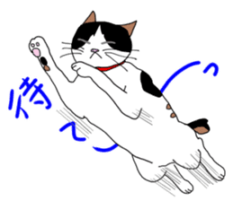 Miss Choiko, a calico cat. vol.2 sticker #507789