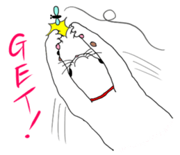 Miss Choiko, a calico cat. vol.2 sticker #507790