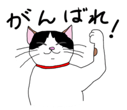 Miss Choiko, a calico cat. vol.2 sticker #507793