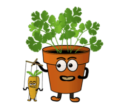 Carrot & Coriander sticker #507803