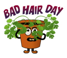 Carrot & Coriander sticker #507805