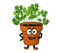 Carrot & Coriander sticker #507813