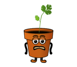 Carrot & Coriander sticker #507818