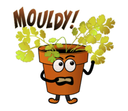 Carrot & Coriander sticker #507822