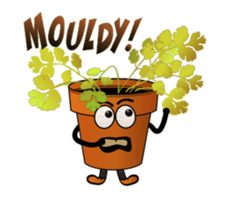 Carrot & Coriander sticker #507822