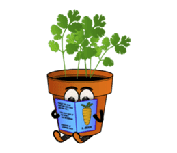 Carrot & Coriander sticker #507828