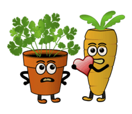 Carrot & Coriander sticker #507832