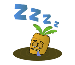 Carrot & Coriander sticker #507833