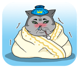 Meow King sticker #507989