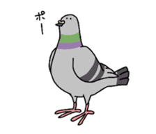Pigeon sticker #509474