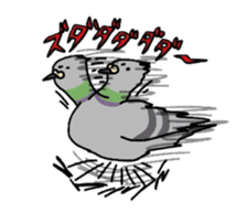 Pigeon sticker #509481