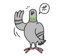 Pigeon sticker #509482