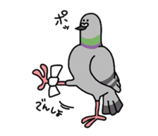 Pigeon sticker #509483