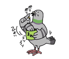 Pigeon sticker #509488