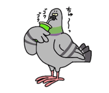 Pigeon sticker #509489
