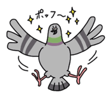 Pigeon sticker #509501