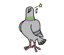 Pigeon sticker #509506