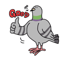 Pigeon sticker #509507