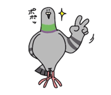 Pigeon sticker #509508